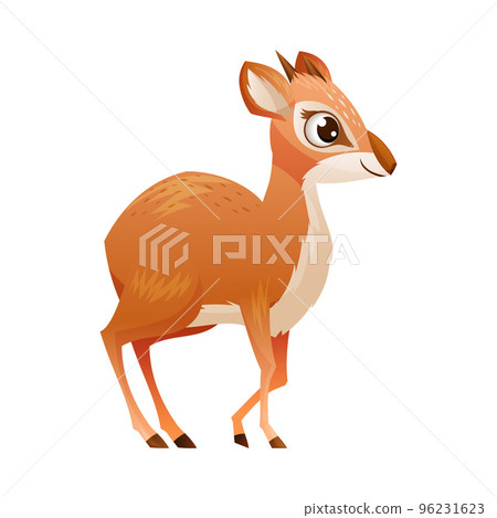 Standing Brown Dik-dik as African Small Antelope with Horns Vector Illustration Standing Brown Dik-dik as African Small Antelope with Horns Vector Illustration 96231623