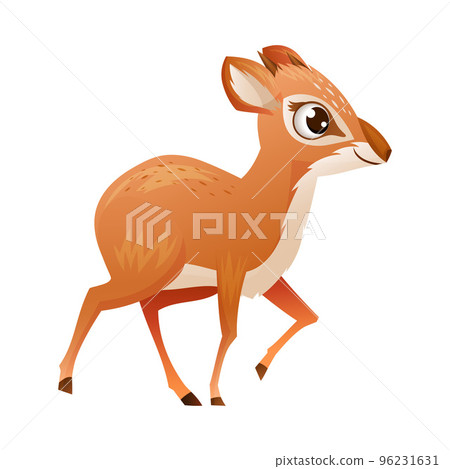 Walking Brown Dik-dik as African Small Antelope with Horns Vector Illustration 96231631