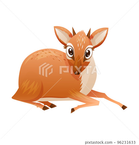 Sitting Brown Dik-dik as African Small Antelope with Horns Vector Illustration Sitting Brown Dik-dik as African Small Antelope with Horns Vector Illustration 96231633