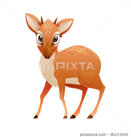 Standing Brown Dik-dik as African Small Antelope with Horns Vector Illustration Standing Brown Dik-dik as African Small Antelope with Horns Vector Illustration 96231640