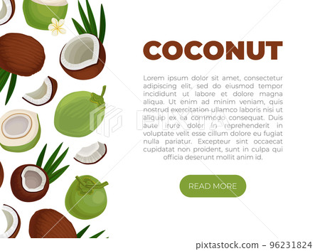 Coconut web banner template. Natural organic product landing page cartoon vector 96231824
