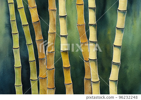Mural wallpaper. Bamboo forest of Arashiyama near Kyoto, Japan 96232248