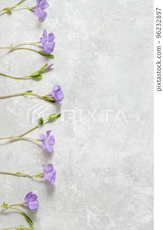 Floral border of lilac delicate flowers on a gray background. Spring Floral border of lilac delicate flowers on a gray background. Spring 96232897