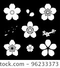 White cherry blossom set - black background 96233373