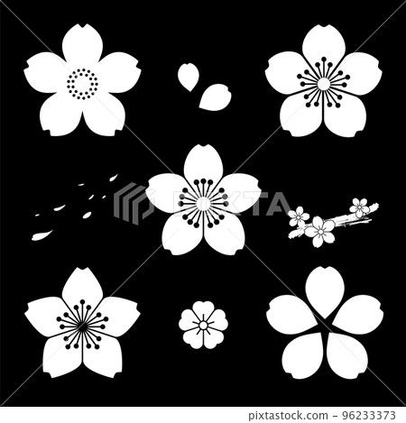 White cherry blossom set - black background 96233373