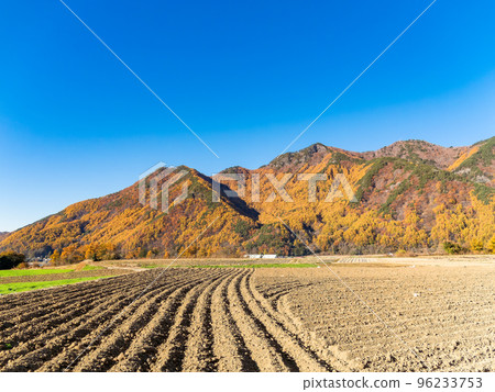 Shinshu Kawakami Village Refreshing scenery of the highland in sunny autumn 96233753