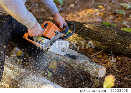 In process of clearing forest for new house man is cutting trees with chainsaw In process of clearing forest for new house man is cutting trees with chainsaw 96233998