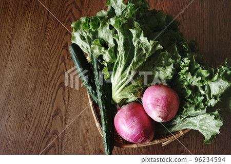 Morning vegetables up Morning vegetables up 96234594