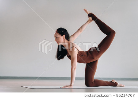 Pregnant girl. A woman does yoga on a hammock in the gym. The concept of a healthy lifestyle, Motherhood Pregnant girl. A woman does yoga on a hammock in the gym. The concept of a healthy lifestyle, Motherhood 96234707