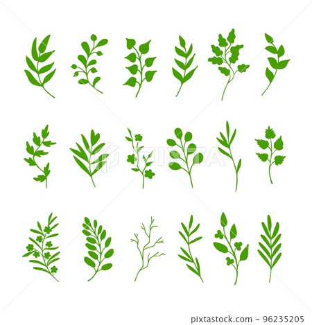 Green leaves and twigs. Hand drawn springtime set of design elements 96235205