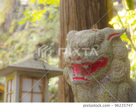 落葉的小馬努 96235747