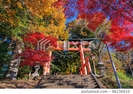 山梨縣富士吉田市新倉富士淺間神社鳥居被染紅的秋葉 山梨縣富士吉田市新倉富士淺間神社鳥居被染紅的秋葉 96236010