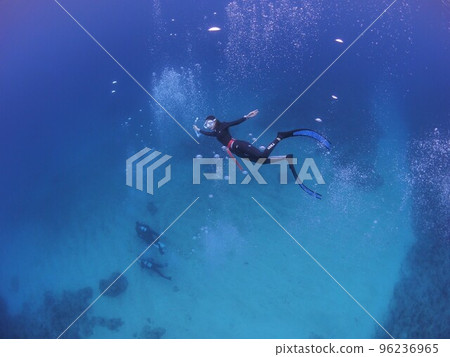 Diver diving like a mermaid Diver diving like a mermaid 96236965