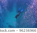 Diver diving like a mermaid 96236966