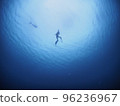 Diver diving like a mermaid 96236967