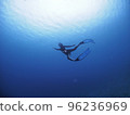 Diver diving like a mermaid 96236969