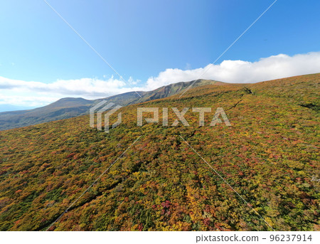Autumn leaves of Mt. Kurikoma aerial view 96237914