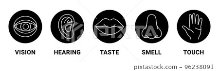 Five senses of a human. Vision, smell, hearing, touch, taste icons. Set of human sensory organs. Vector illustration. Eye, nose, ear, hand, mouth icon set. Five senses of a human. Vision, smell, hearing, touch, taste icons. Set of human sensory organs. Vector illustration. Eye, nose, ear, hand, mouth icon set. 96238091