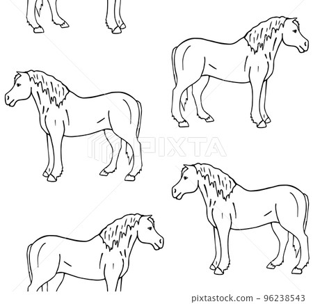 Vector seamless pattern of hand drawn draft horse Vector seamless pattern of hand drawn draft horse 96238543
