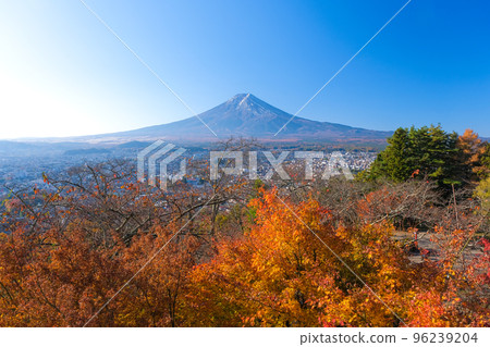 山梨縣富士吉田市秋天從新倉山淺間公園看到的富士山 山梨縣富士吉田市秋天從新倉山淺間公園看到的富士山 96239204