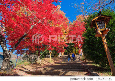 山梨縣富士吉田市 新倉富士淺間神社,靠近,鳥居染紅葉 山梨縣富士吉田市 新倉富士淺間神社,靠近,鳥居染紅葉 96239230