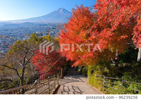 山梨縣富士吉田市新倉富士淺間神社與富士山和秋葉,咲也姬樓梯 山梨縣富士吉田市新倉富士淺間神社與富士山和秋葉,咲也姬樓梯 96239256