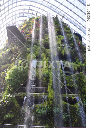 濱海灣花園的壯觀雲霧林 96239448