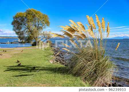 [Taupo] Lake Taupo 96239933