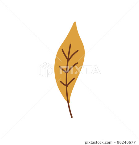 Autumn leaves. Foliage leaf silhouette. Forest vector illustration. 96240677