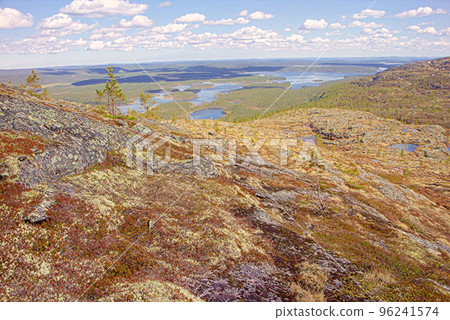 Mountain tundra in Lapland Mountain tundra in Lapland 96241574