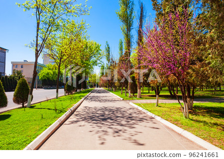 Amir Timur Avenue at spring, Tashkent 96241661