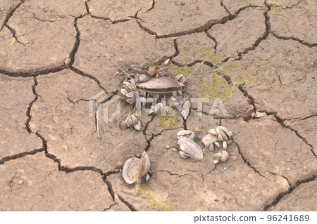 sea drought change of climate heat water sea drought change of climate heat water 96241689