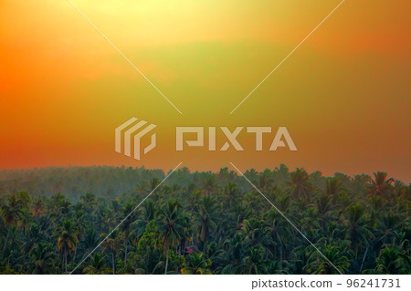 jungle tropical Paradise at sunset wide landscape. jungle tropical Paradise at sunset wide landscape. 96241731