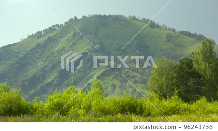Summer mountains landscape with trees. Summer mountains landscape with trees. 96241736