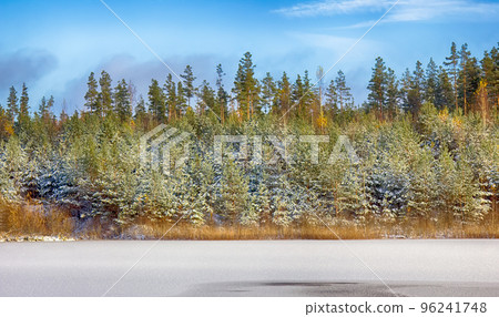 bright winter Sunny forest with snow and fir trees and lake bright winter Sunny forest with snow and fir trees and lake 96241748