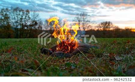 A Bonfire Burning in the Forest Meadow During Sunset. Slowmotion of Fireplace in Nature. A Bonfire Burning in the Forest Meadow During Sunset. Slowmotion of Fireplace in Nature. 96242532
