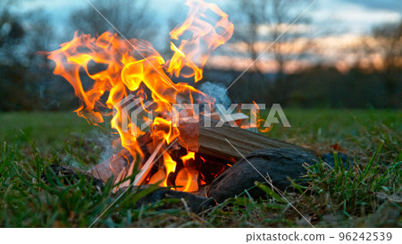 A Bonfire Burning in the Forest Meadow During Sunset. Slowmotion of Fireplace in Nature. 96242539
