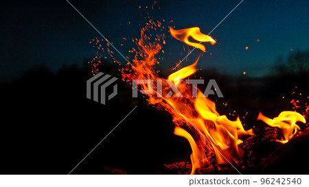 A Bonfire Burning in the Forest Meadow During Sunset. Slowmotion of Fireplace in Nature. 96242540