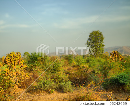 Green hills at entrance to plateau Deccan, India. 96242669