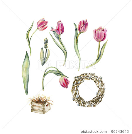 Hand drawn watercolor pink flowers tulips set and empty wreath made of brown twigs. It's perfect for greeting cards, wedding invitation, birthday and mothers day cards. isolated on white background. Hand drawn watercolor pink flowers tulips set and empty wreath made of brown twigs. It's perfect for greeting cards, wedding invitation, birthday and mothers day cards. isolated on white background. 96243643