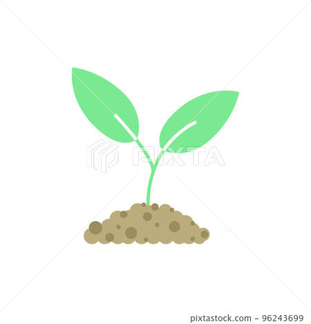 Illustration of a young green plant sprout Illustration of a young green plant sprout 96243699