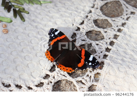 photo butterfly admiral sits on an embroidered napkin in the village photo butterfly admiral sits on an embroidered napkin in the village 96244176
