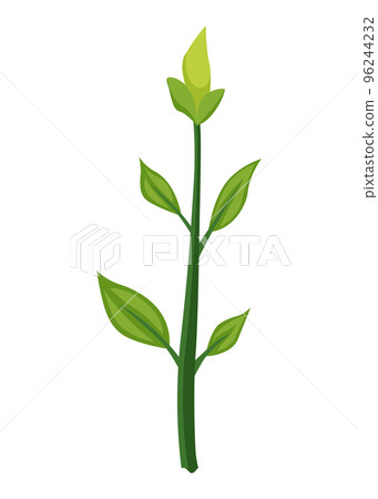 Sunflower growth stage, small sprout. Agriculture plant development. Harvest animation progression phase Sunflower growth stage, small sprout. Agriculture plant development. Harvest animation progression phase 96244232
