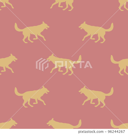 Running and jumping czechoslovak wolfdog puppy. Running and jumping czechoslovak wolfdog puppy. 96244267