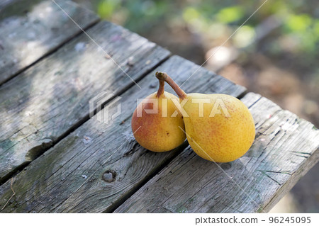 Two fresh pears Two fresh pears 96245095