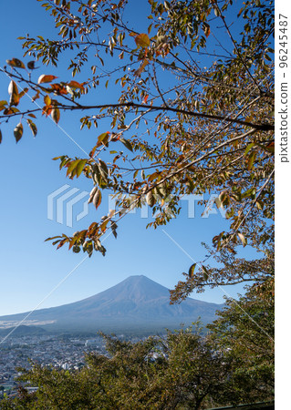 [Yamanashi Prefecture] Arakurayama Sengen Park Autumn 96245487