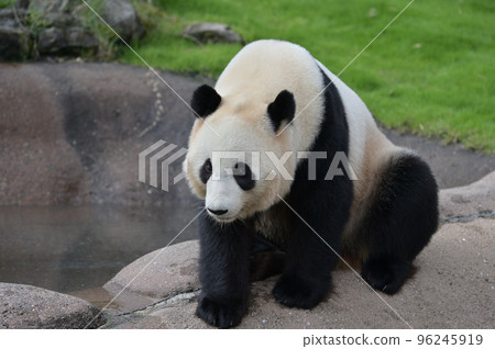 由比濱在畫廊裡秀恩愛 96245919