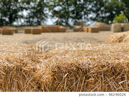 Hay in a bale in a sunny day close-up. Food product for farm animals, farming concept 96246026