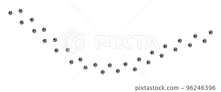 Wet or mud foot prints of dog, cat, bear, tiger, raccoon. Paw stamps. Running or walking animals steps trace isolated on white background 96246396