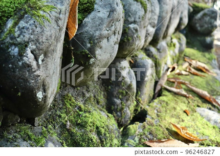 Quaint moss and stone walls Quaint moss and stone walls 96246827
